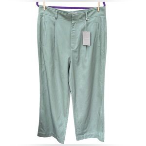 Everlane Wm’s The Way-High Drape Pant In Light Green Sz 14R